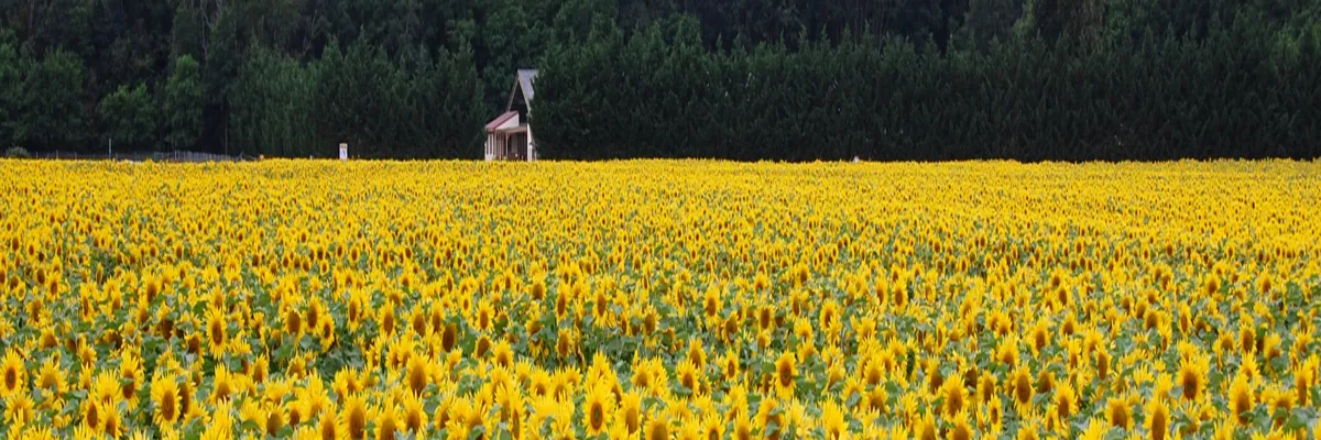 Image Pose borne de recharge IRVE Centre-Val de Loire