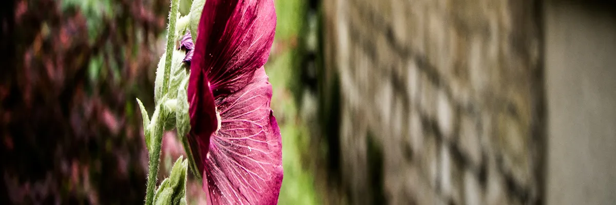 Image Pose borne de recharge IRVE Éragny