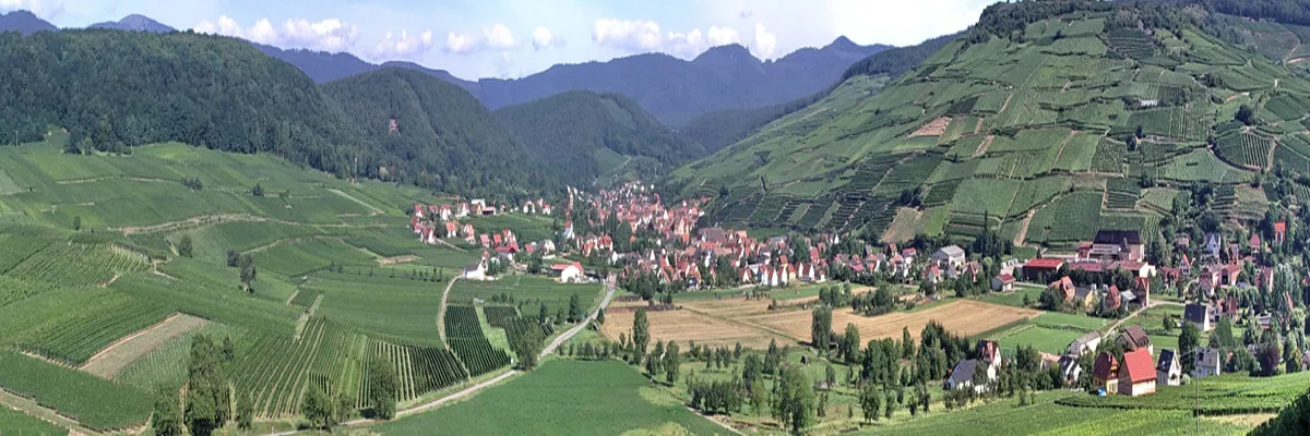 Image Pose borne de recharge IRVE Grand Est