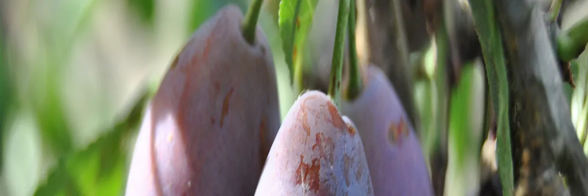 Image Pose borne de recharge IRVE Lot-et-Garonne