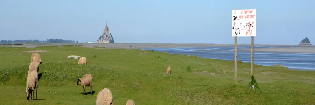 Image Pose borne de recharge IRVE Manche