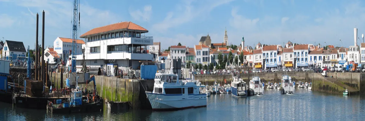 Image Pose borne de recharge IRVE Pays de la Loire