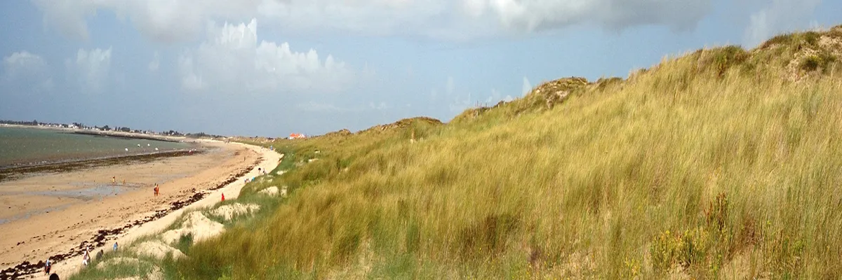 Image Pose borne de recharge IRVE Vendée