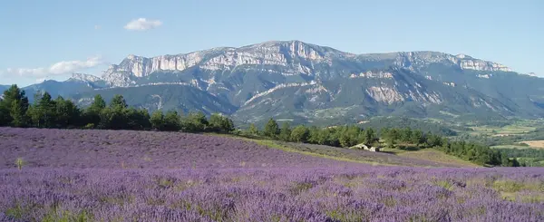 Borne de Recharge Rapide Pose borne de recharge IRVE Drôme