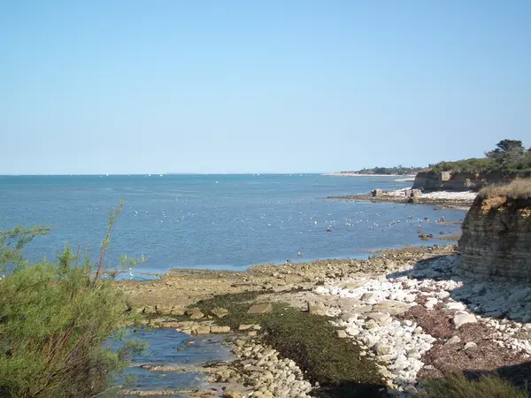 Borne de Recharge Rapide Pose borne de recharge IRVE Nouvelle-Aquitaine